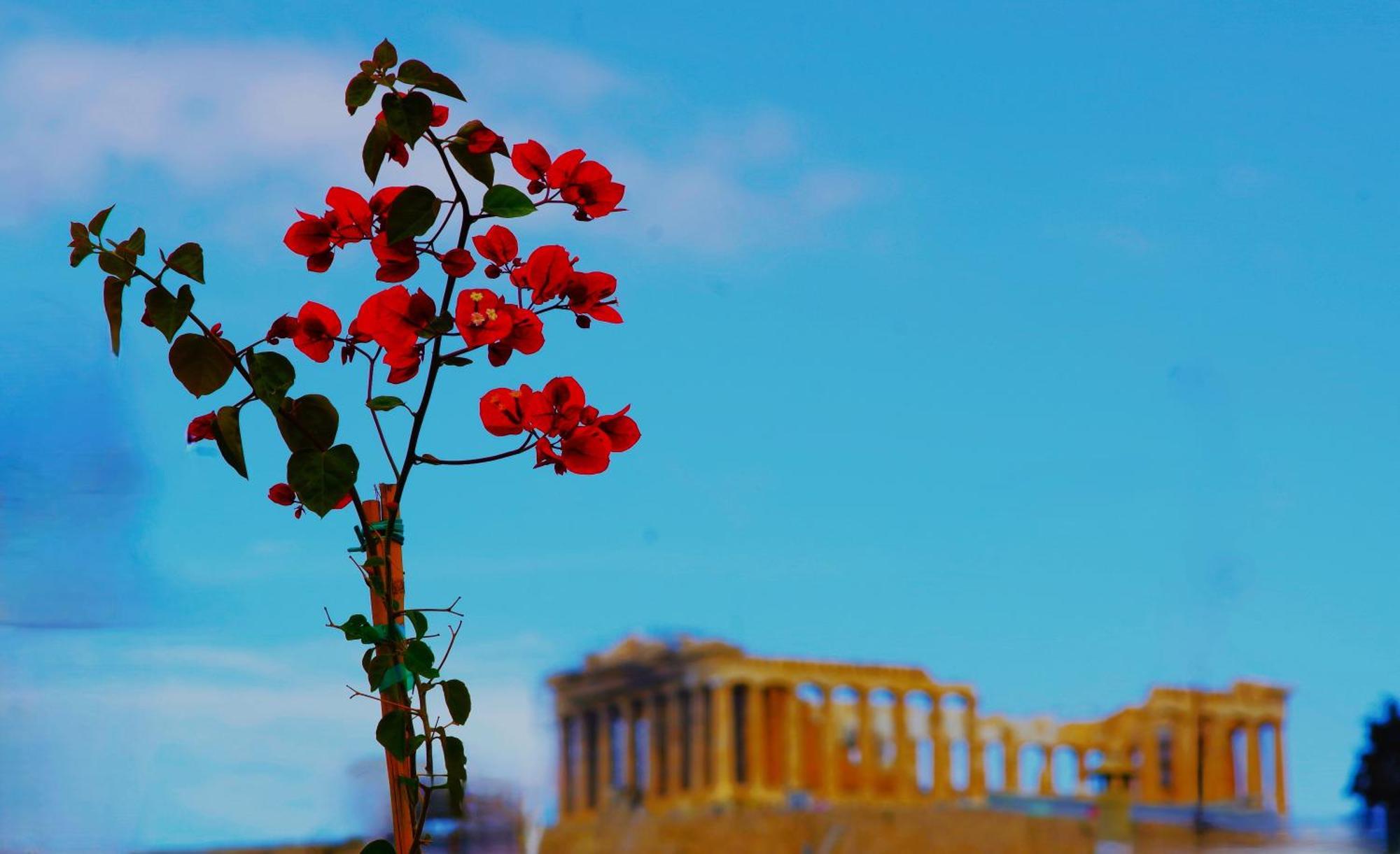Aparthotel Absolute Athens Acropolis View Exteriér fotografie