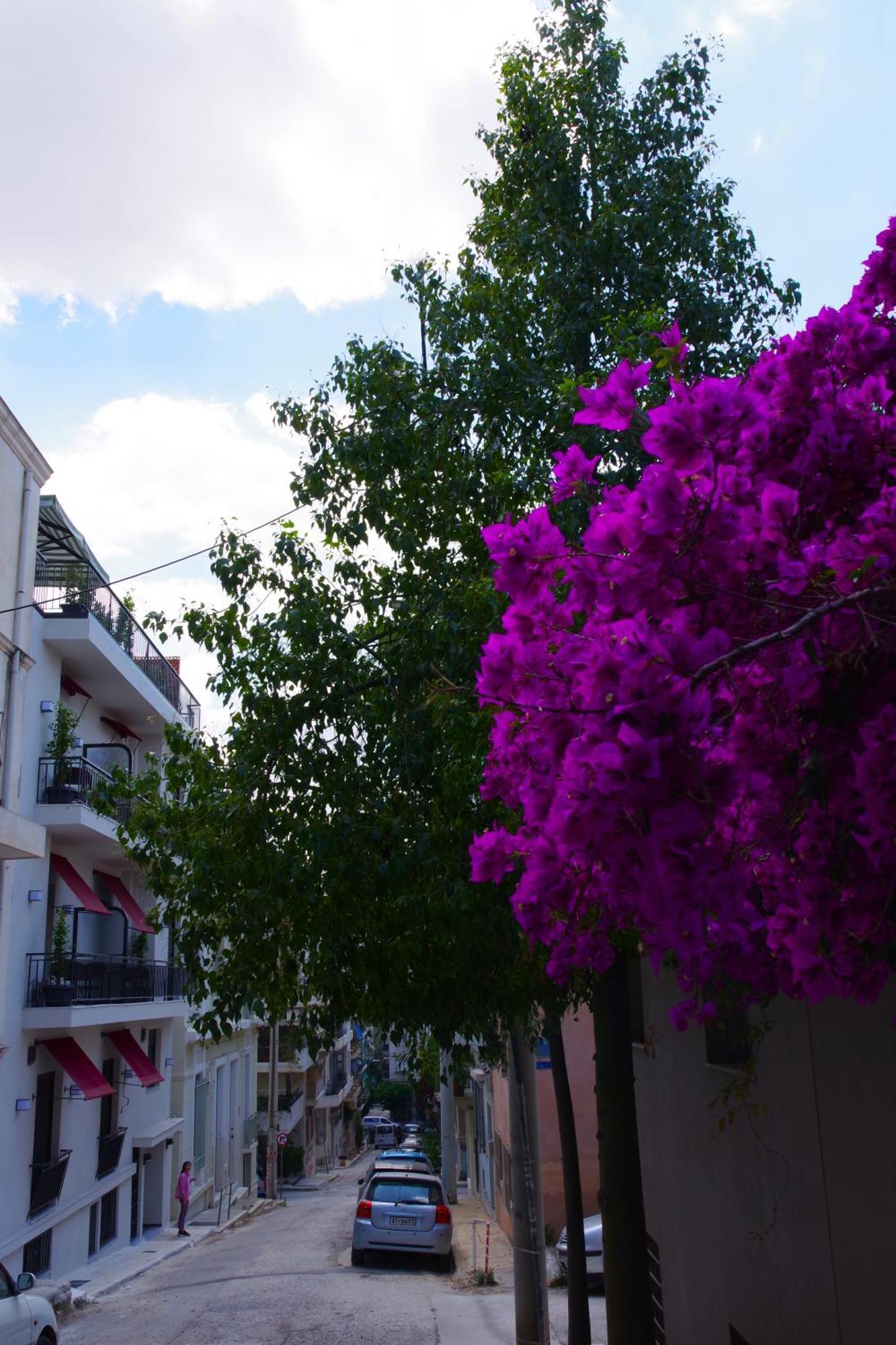 Aparthotel Absolute Athens Acropolis View Exteriér fotografie